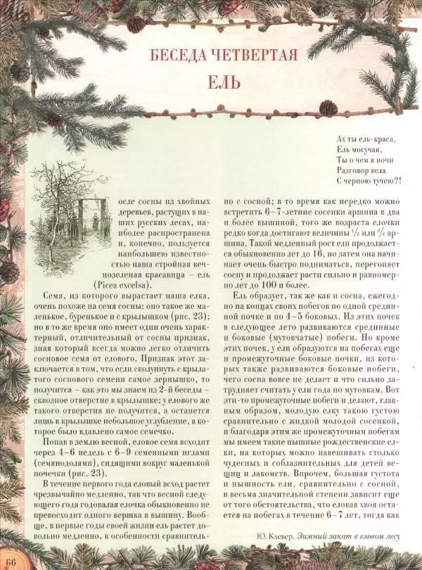 Дмитрий Кайгородов - Беседы о русском лесе - Страница № 66