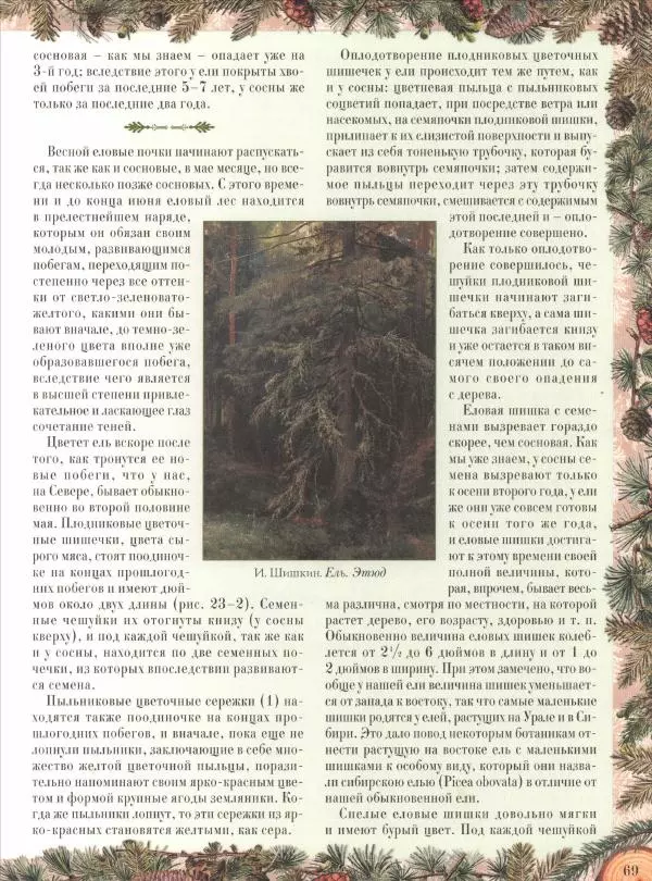 Дмитрий Кайгородов - Беседы о русском лесе - Страница № 69