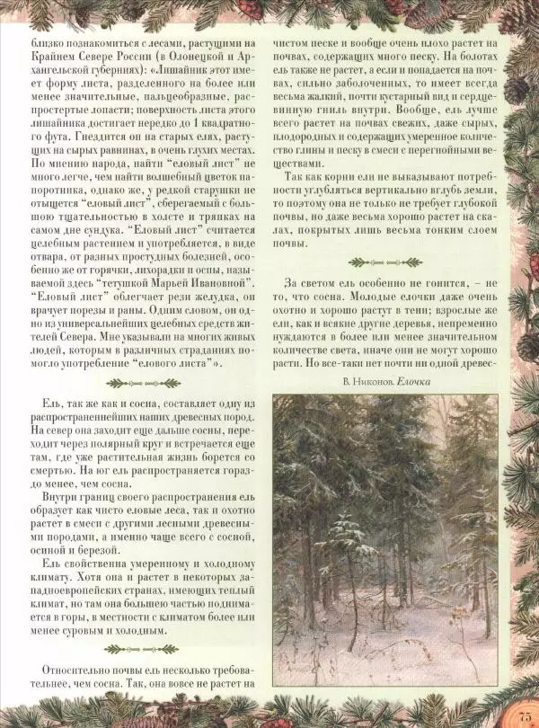 Дмитрий Кайгородов - Беседы о русском лесе - Страница № 75