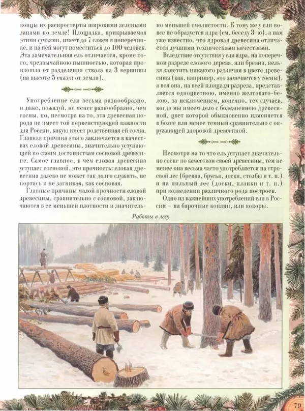 Дмитрий Кайгородов - Беседы о русском лесе - Страница № 79