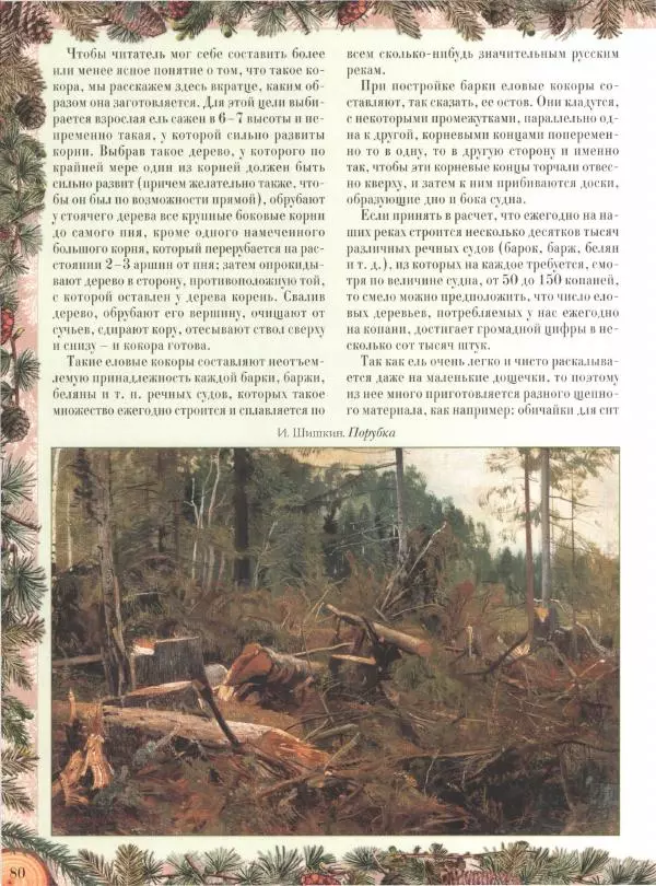 Дмитрий Кайгородов - Беседы о русском лесе - Страница № 80