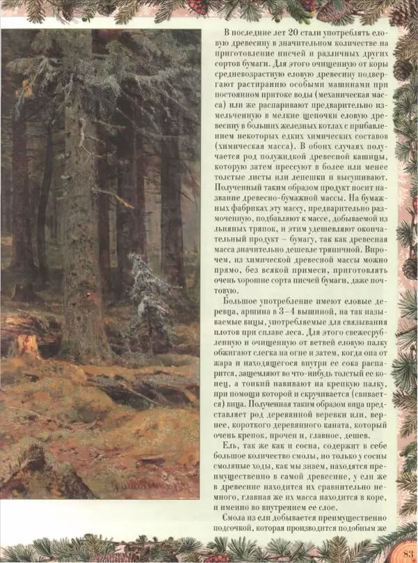 Дмитрий Кайгородов - Беседы о русском лесе - Страница № 83
