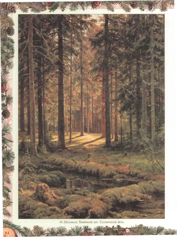 Дмитрий Кайгородов - Беседы о русском лесе - Страница № 84