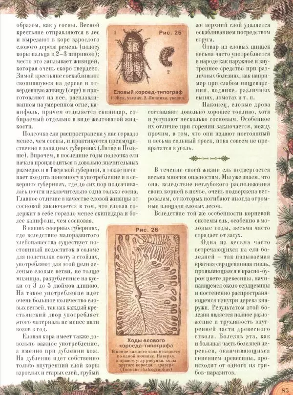 Дмитрий Кайгородов - Беседы о русском лесе - Страница № 85
