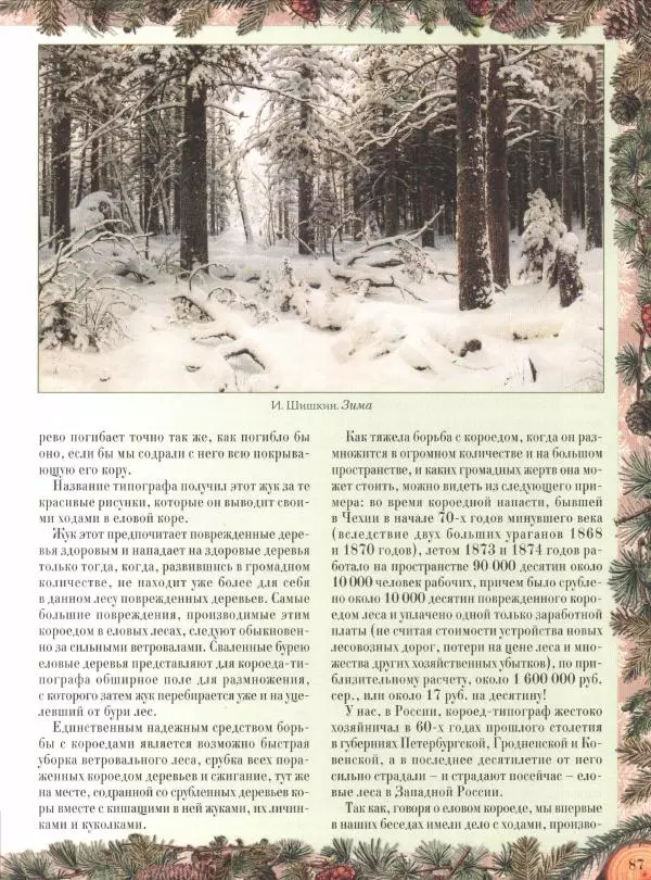 Дмитрий Кайгородов - Беседы о русском лесе - Страница № 87