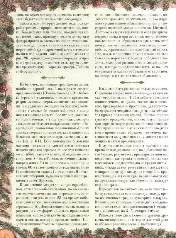 Дмитрий Кайгородов - Беседы о русском лесе - Страница № 88