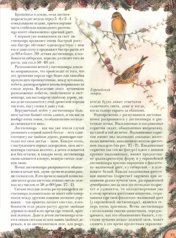 Дмитрий Кайгородов - Беседы о русском лесе - Страница № 91