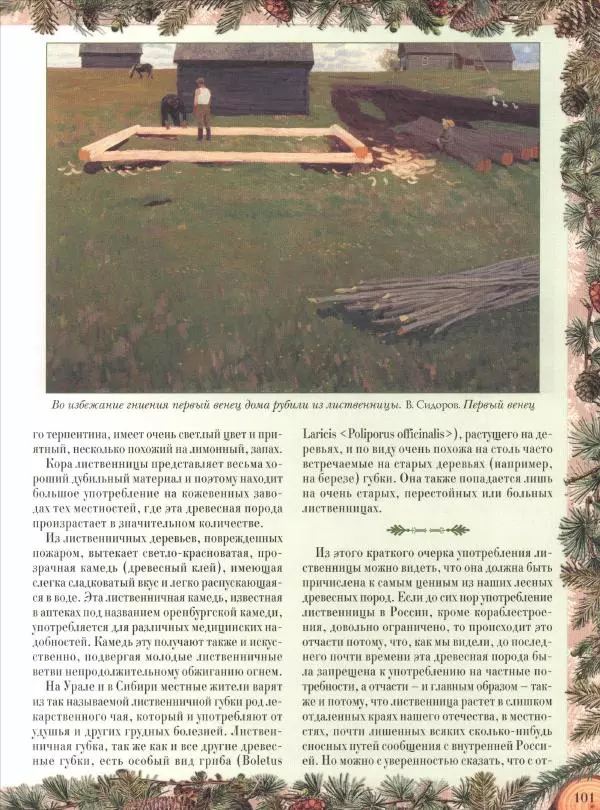 Дмитрий Кайгородов - Беседы о русском лесе - Страница № 101