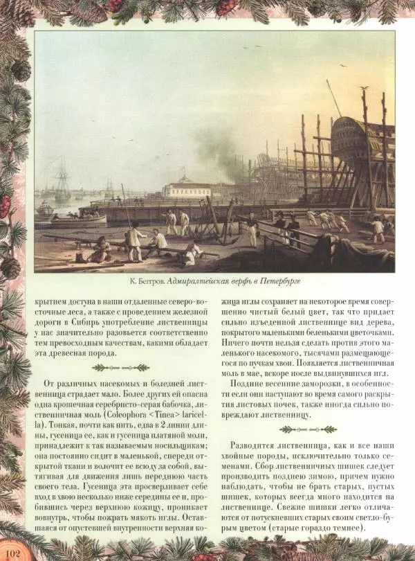 Дмитрий Кайгородов - Беседы о русском лесе - Страница № 102