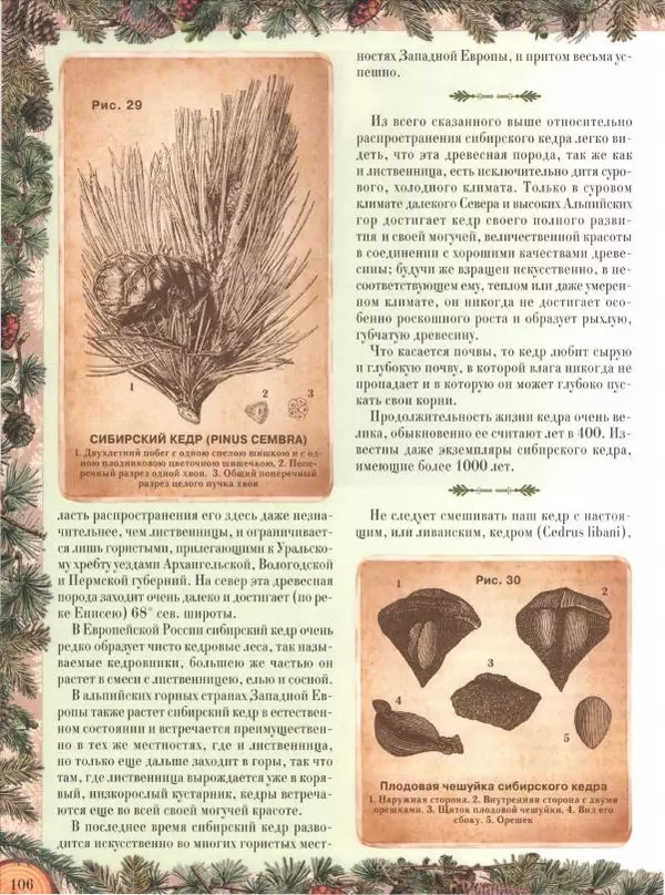 Дмитрий Кайгородов - Беседы о русском лесе - Страница № 106