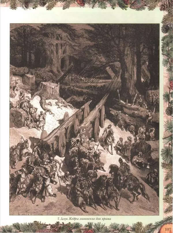 Дмитрий Кайгородов - Беседы о русском лесе - Страница № 107