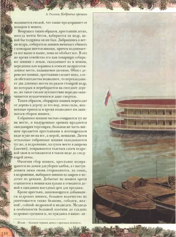 Дмитрий Кайгородов - Беседы о русском лесе - Страница № 110