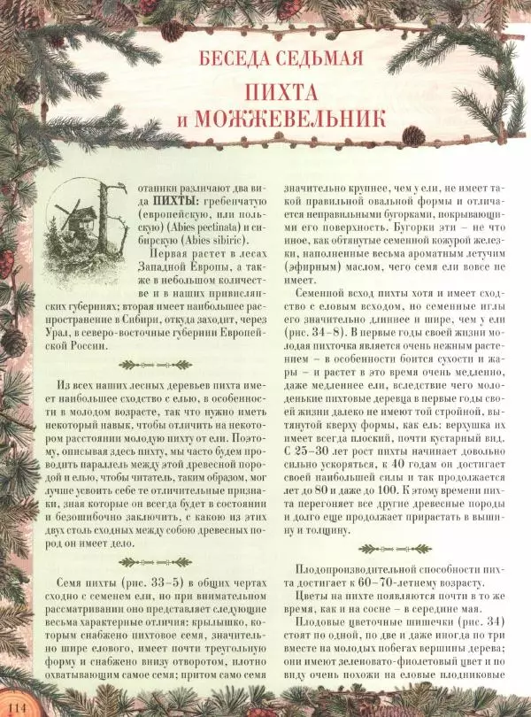 Дмитрий Кайгородов - Беседы о русском лесе - Страница № 114
