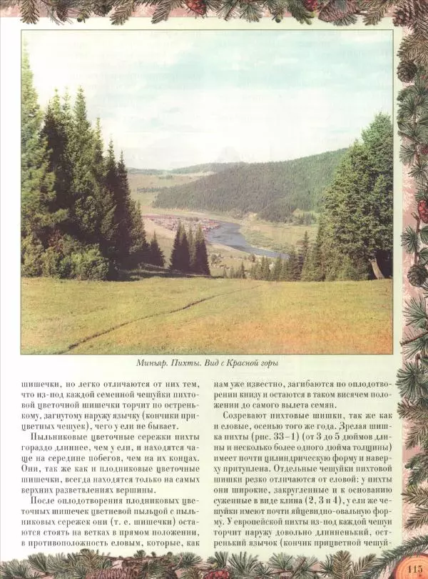 Дмитрий Кайгородов - Беседы о русском лесе - Страница № 115