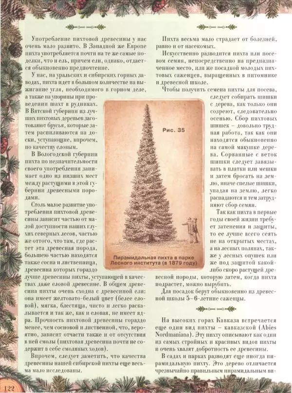 Дмитрий Кайгородов - Беседы о русском лесе - Страница № 122