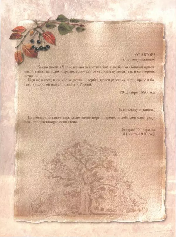 Дмитрий Кайгородов - Беседы о русском лесе - Страница № 128