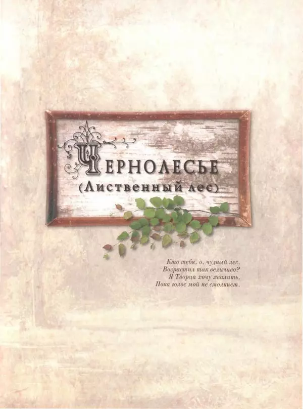 Дмитрий Кайгородов - Беседы о русском лесе - Страница № 129