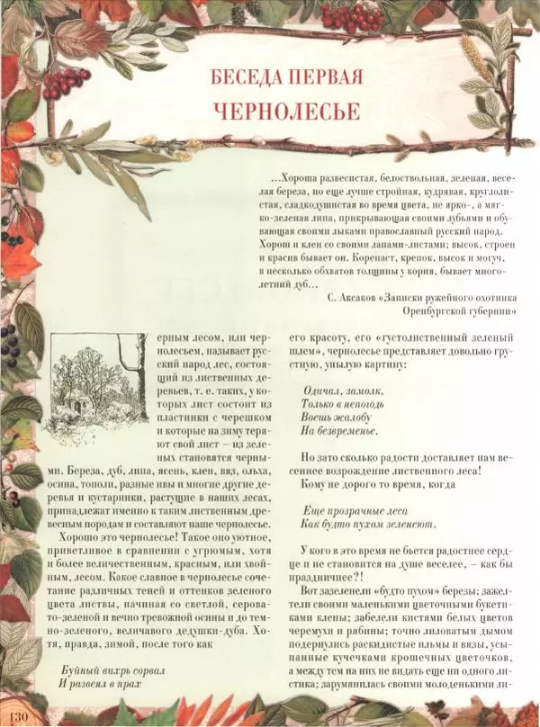 Дмитрий Кайгородов - Беседы о русском лесе - Страница № 130