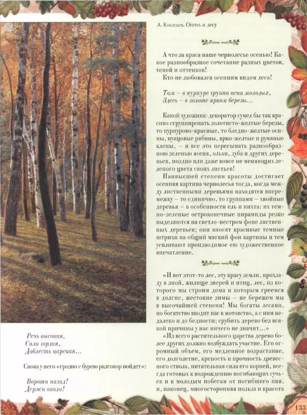 Дмитрий Кайгородов - Беседы о русском лесе - Страница № 133