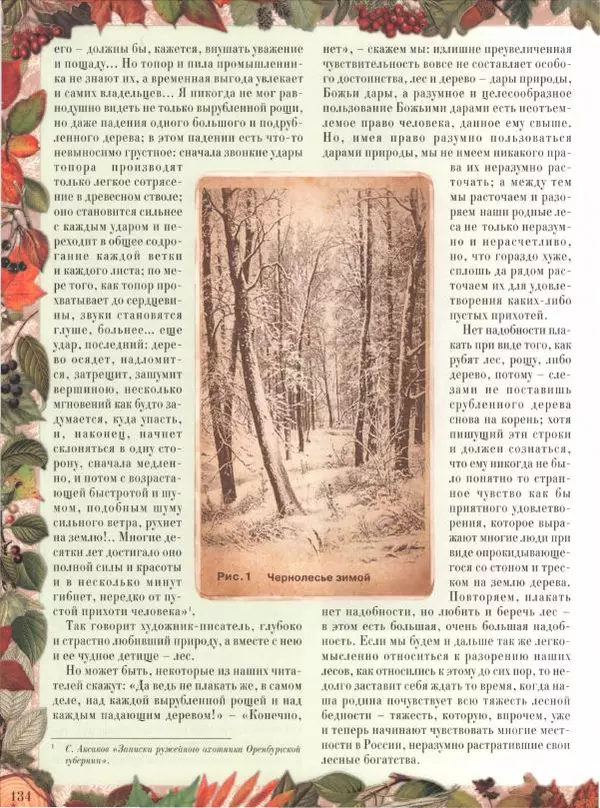 Дмитрий Кайгородов - Беседы о русском лесе - Страница № 134