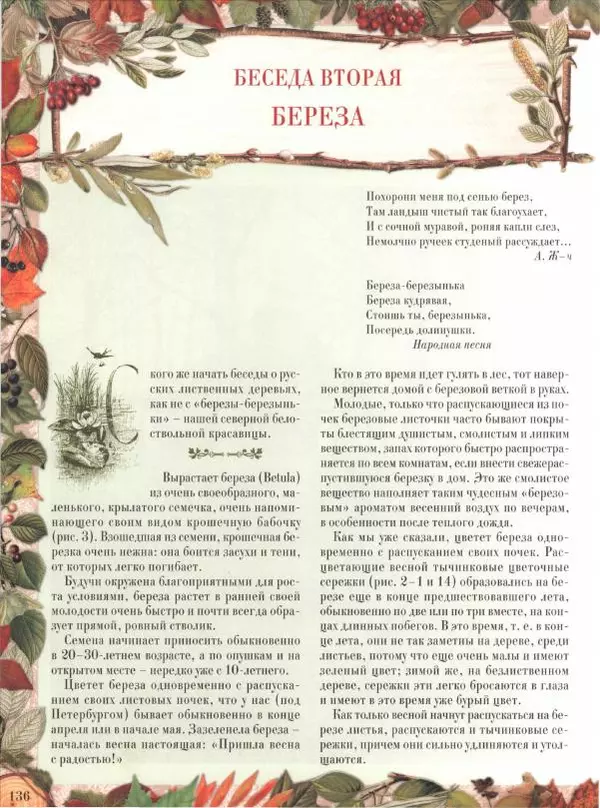 Дмитрий Кайгородов - Беседы о русском лесе - Страница № 136