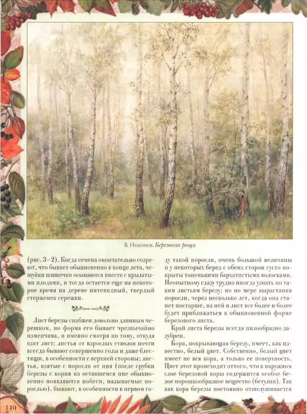 Дмитрий Кайгородов - Беседы о русском лесе - Страница № 140