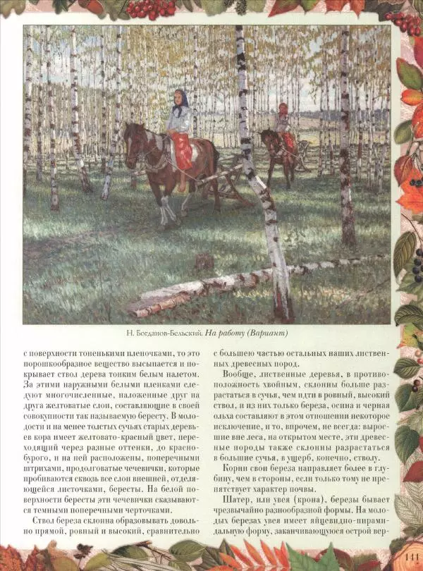 Дмитрий Кайгородов - Беседы о русском лесе - Страница № 141