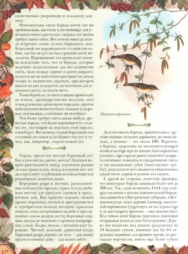 Дмитрий Кайгородов - Беседы о русском лесе - Страница № 148
