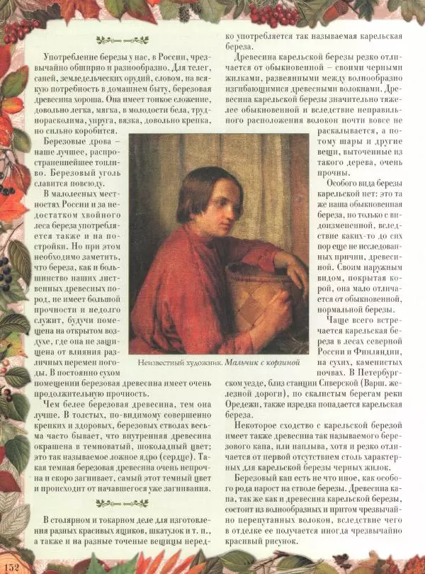 Дмитрий Кайгородов - Беседы о русском лесе - Страница № 152