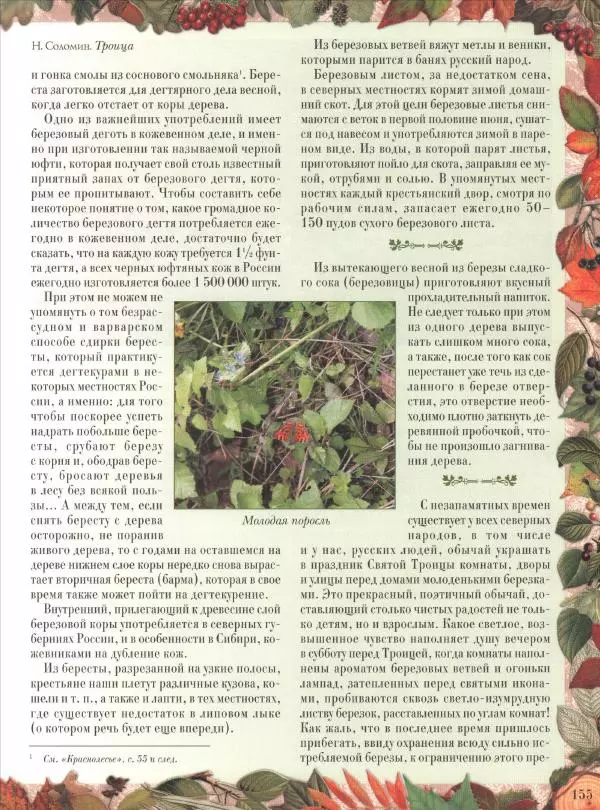 Дмитрий Кайгородов - Беседы о русском лесе - Страница № 155