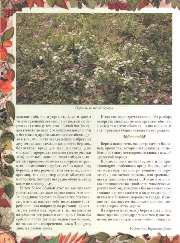 Дмитрий Кайгородов - Беседы о русском лесе - Страница № 156