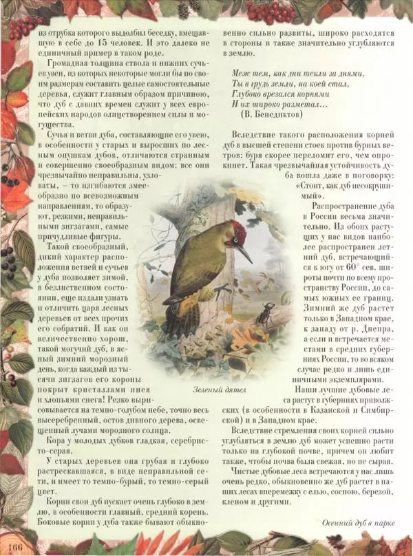 Дмитрий Кайгородов - Беседы о русском лесе - Страница № 166
