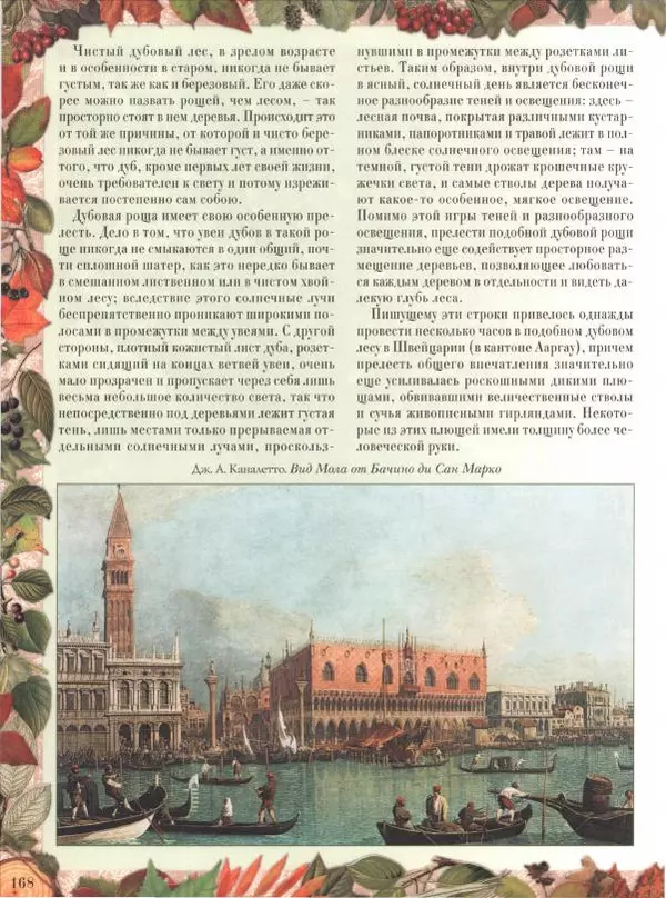 Дмитрий Кайгородов - Беседы о русском лесе - Страница № 168