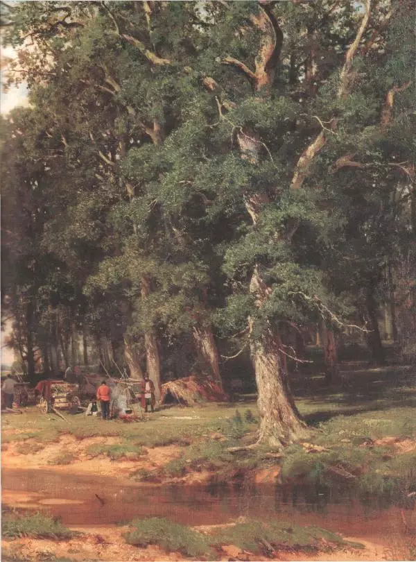 Дмитрий Кайгородов - Беседы о русском лесе - Страница № 171