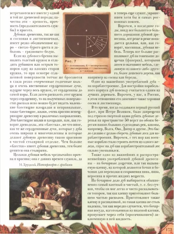 Дмитрий Кайгородов - Беседы о русском лесе - Страница № 173