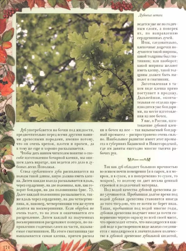 Дмитрий Кайгородов - Беседы о русском лесе - Страница № 174