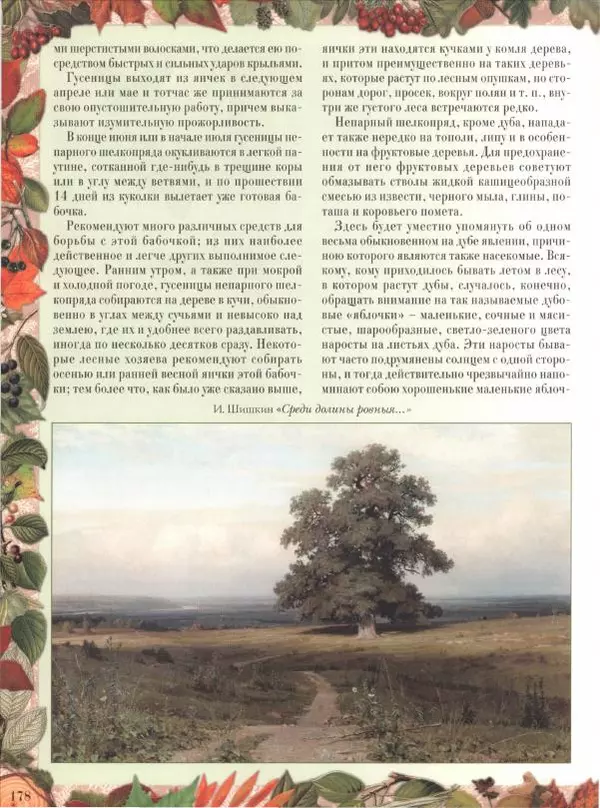 Дмитрий Кайгородов - Беседы о русском лесе - Страница № 178