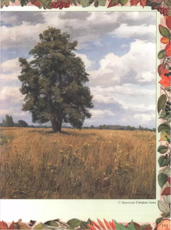 Дмитрий Кайгородов - Беседы о русском лесе - Страница № 185