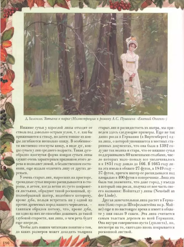 Дмитрий Кайгородов - Беседы о русском лесе - Страница № 186