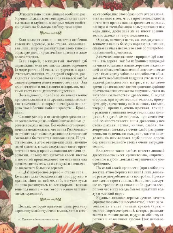 Дмитрий Кайгородов - Беседы о русском лесе - Страница № 188