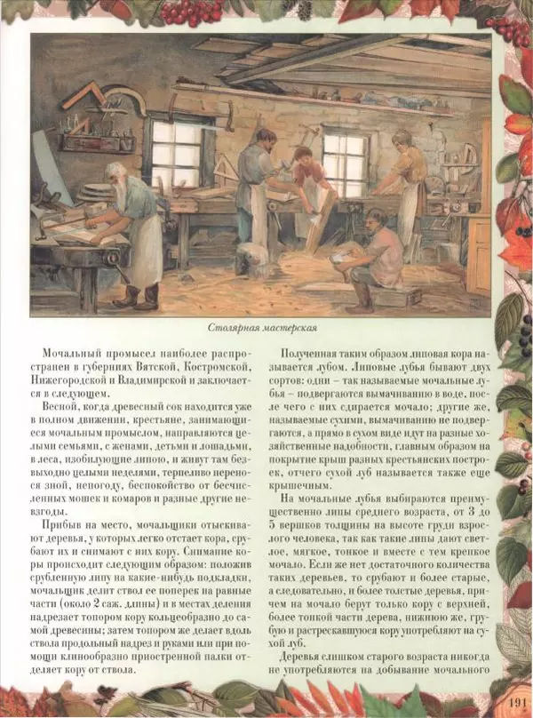 Дмитрий Кайгородов - Беседы о русском лесе - Страница № 191
