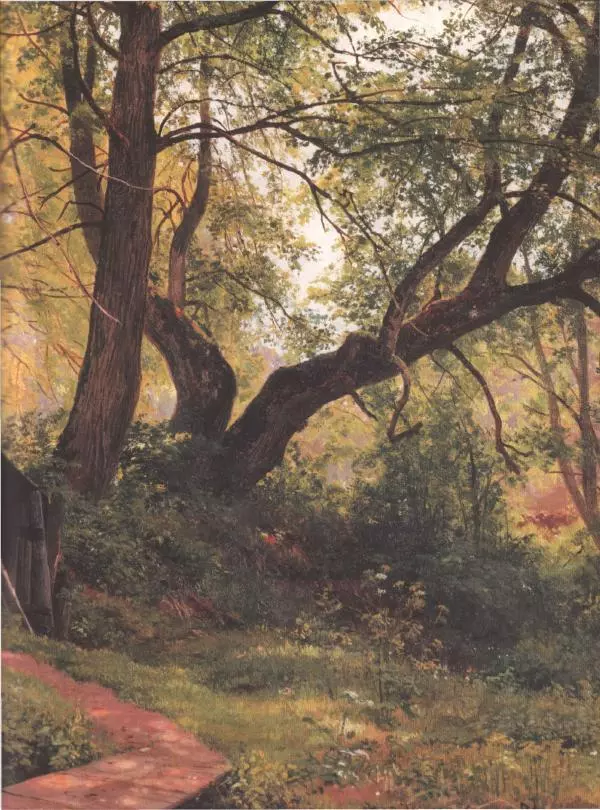 Дмитрий Кайгородов - Беседы о русском лесе - Страница № 193