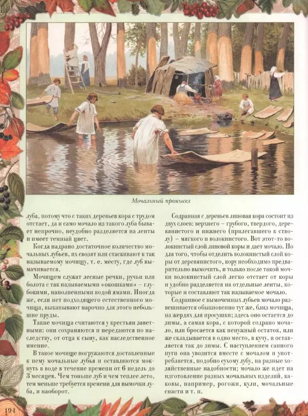Дмитрий Кайгородов - Беседы о русском лесе - Страница № 194