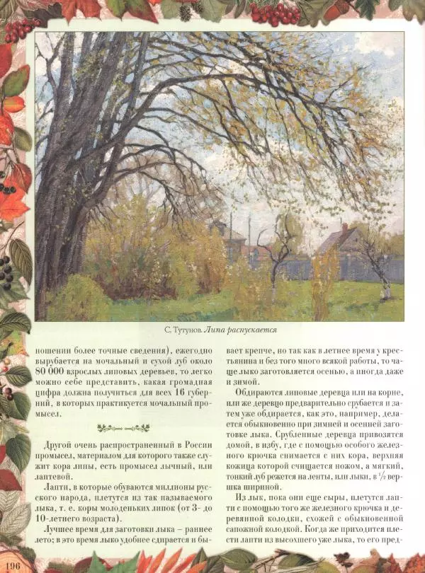 Дмитрий Кайгородов - Беседы о русском лесе - Страница № 196