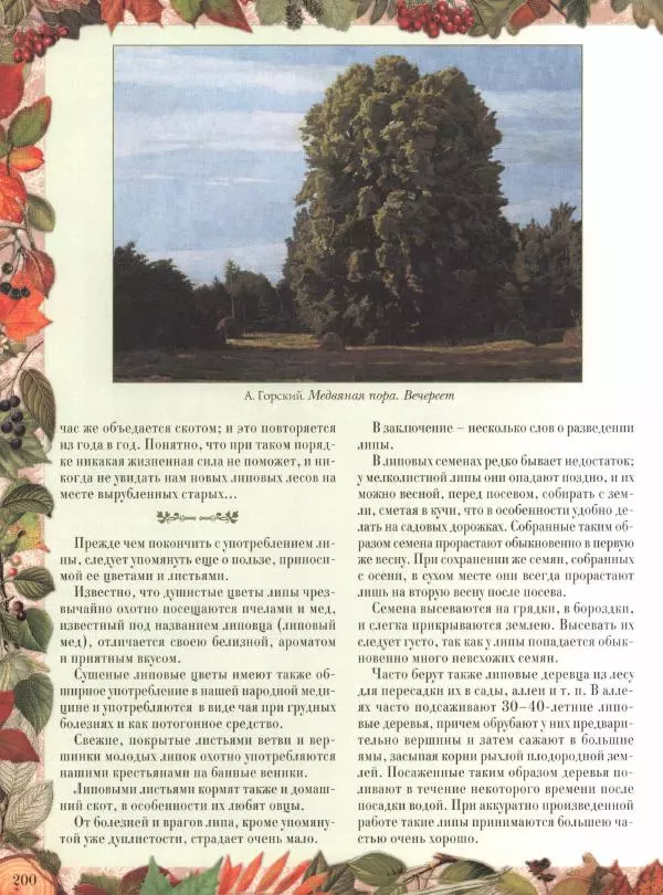 Дмитрий Кайгородов - Беседы о русском лесе - Страница № 200
