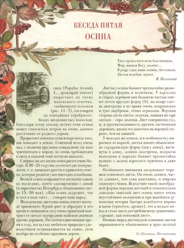 Дмитрий Кайгородов - Беседы о русском лесе - Страница № 202