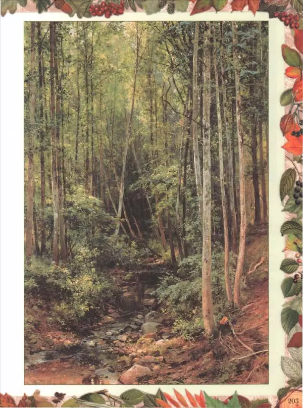 Дмитрий Кайгородов - Беседы о русском лесе - Страница № 203