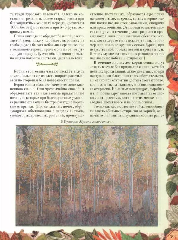 Дмитрий Кайгородов - Беседы о русском лесе - Страница № 207