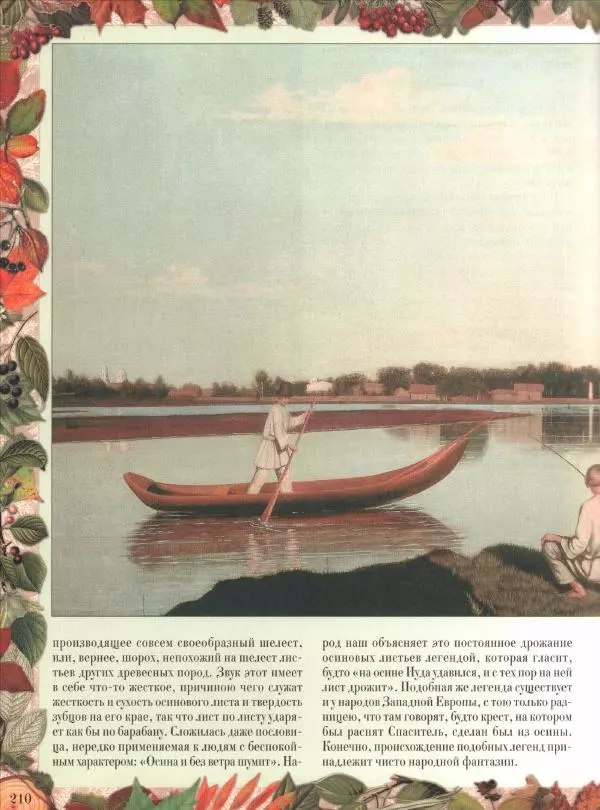Дмитрий Кайгородов - Беседы о русском лесе - Страница № 210