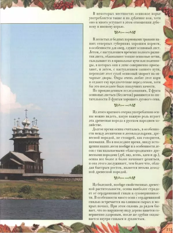 Дмитрий Кайгородов - Беседы о русском лесе - Страница № 215